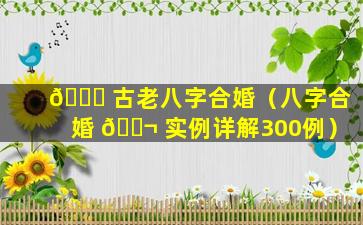 🐘 古老八字合婚（八字合婚 🐬 实例详解300例）